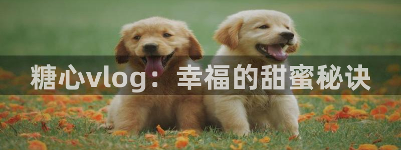 心糖vlog香菜:糖心vlog:幸福的甜