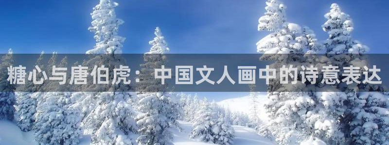 糖心vlog醉酒cc:糖心与唐伯虎:中国