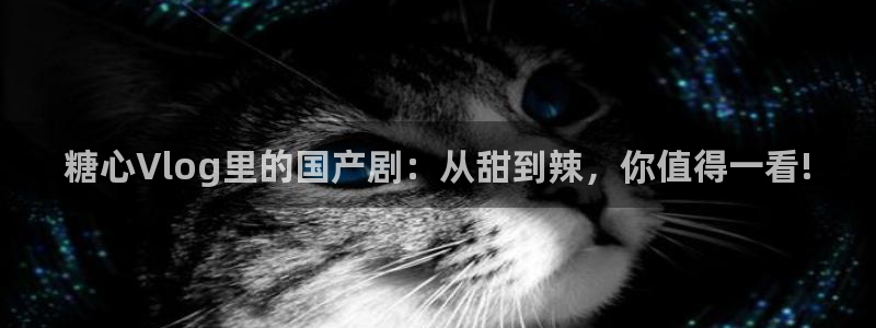 糖心vlog比心小雪:糖心Vlog里的国